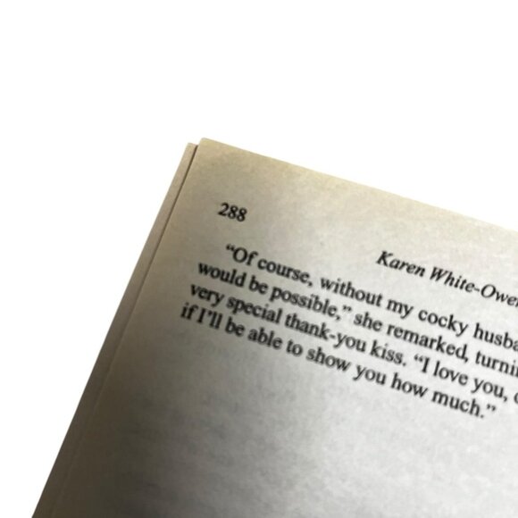 You Are Loved By Karen‎ White-Owens Paperback 2003 Romance Novel BET Books - Picture 4 of 12